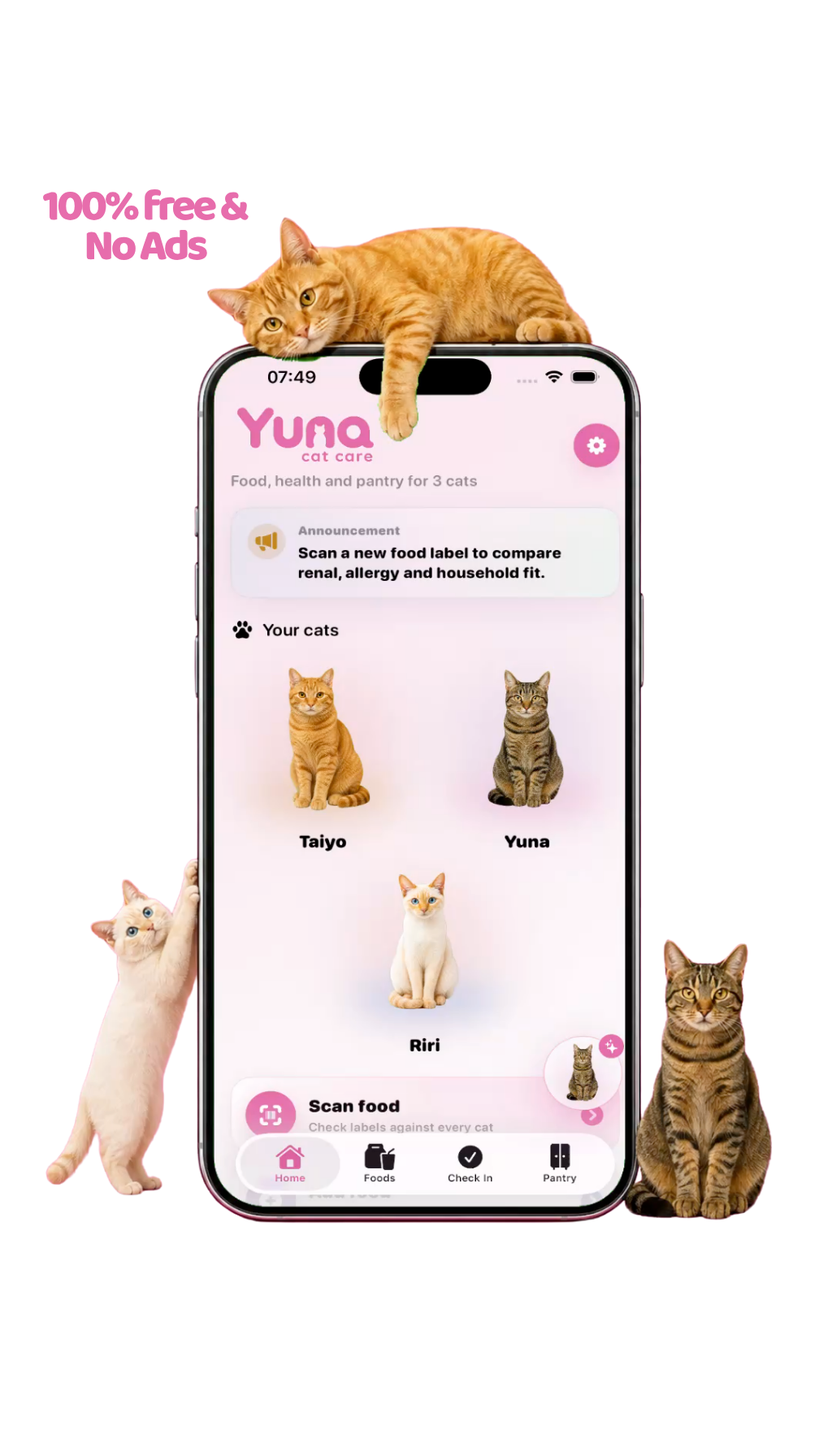 Yuna Cat Care home screen with Taiyo, Yuna and Riri